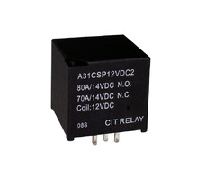A31CSP12VDC2R attēls
