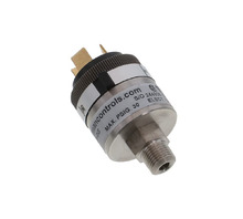 P117G-3H-C12TB-DIS attēls