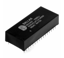 DS1250AB-100+ attēls